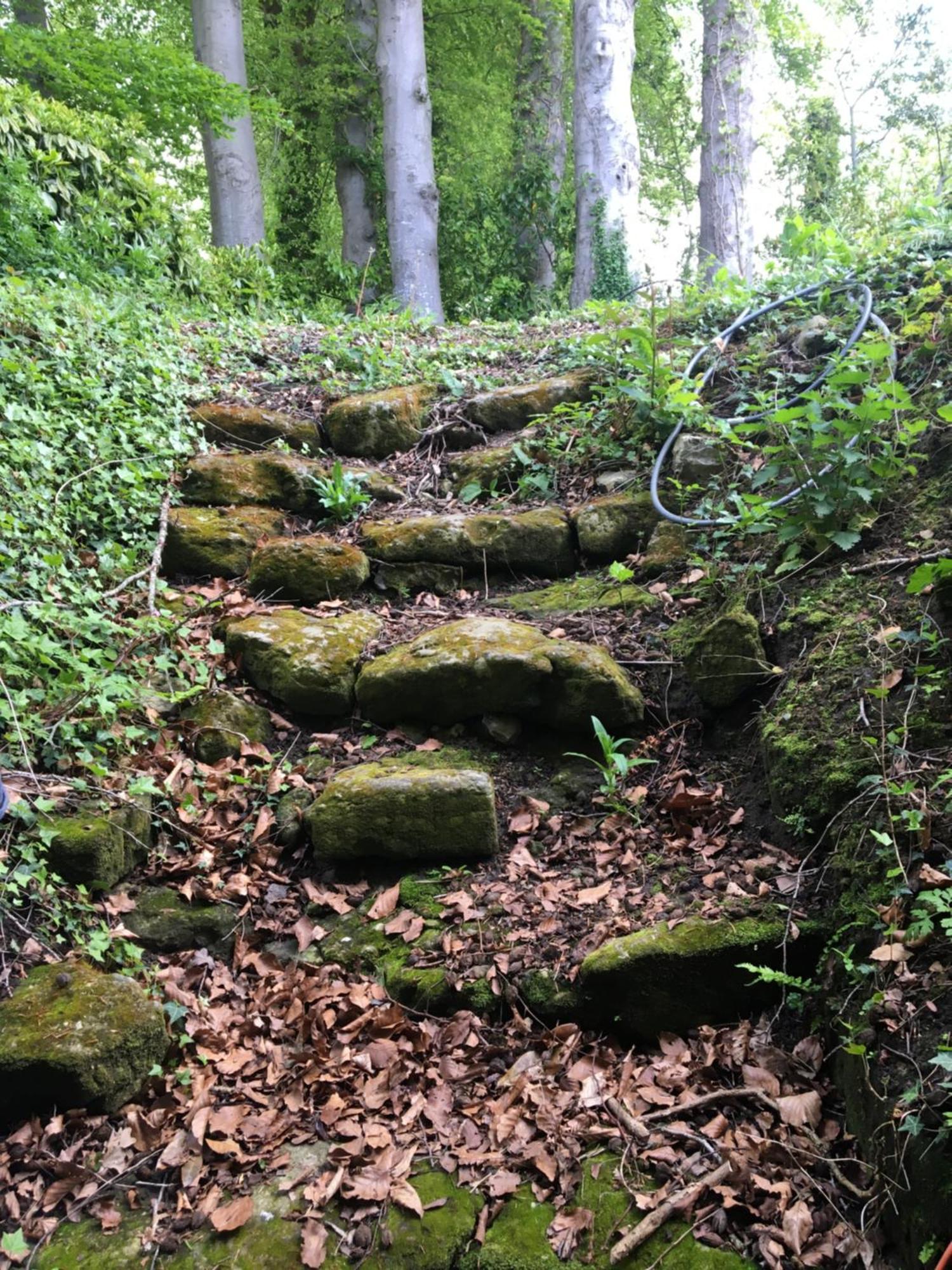 Le Clos Du Val A Loup Bénarville エクステリア 写真